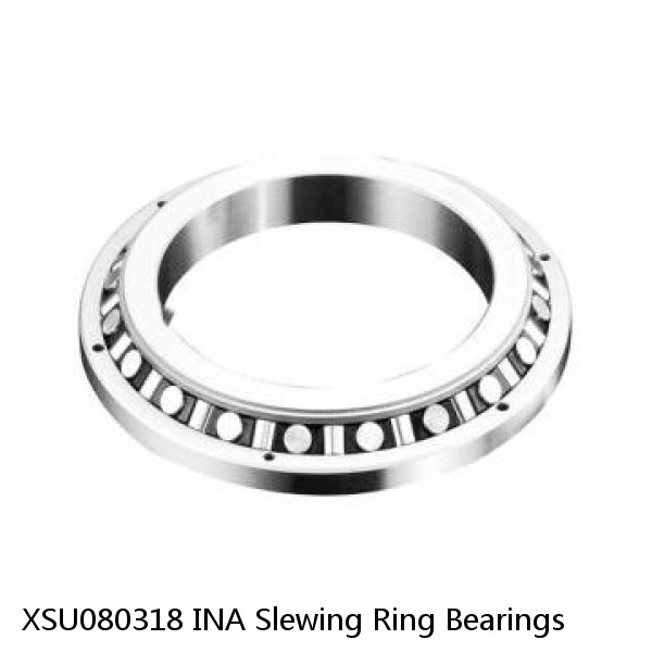 XSU080318 INA Slewing Ring Bearings