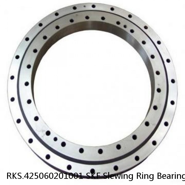 RKS.425060201001 SKF Slewing Ring Bearings