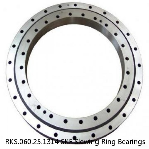 RKS.060.25.1314 SKF Slewing Ring Bearings