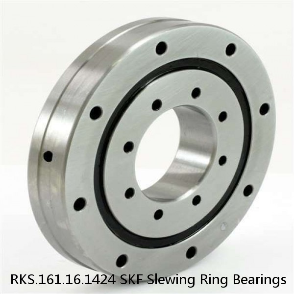 RKS.161.16.1424 SKF Slewing Ring Bearings