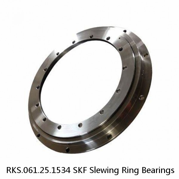 RKS.061.25.1534 SKF Slewing Ring Bearings