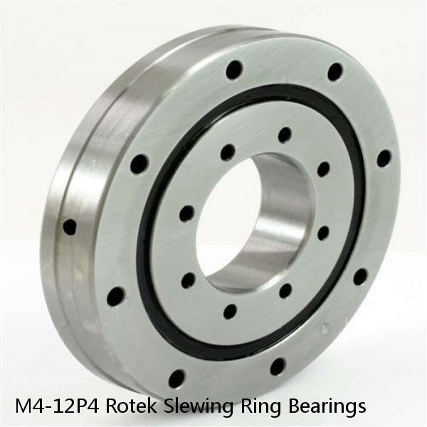 M4-12P4 Rotek Slewing Ring Bearings