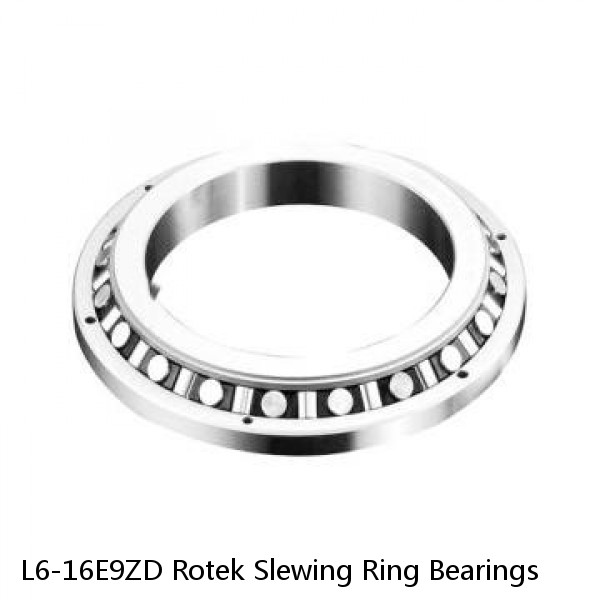 L6-16E9ZD Rotek Slewing Ring Bearings