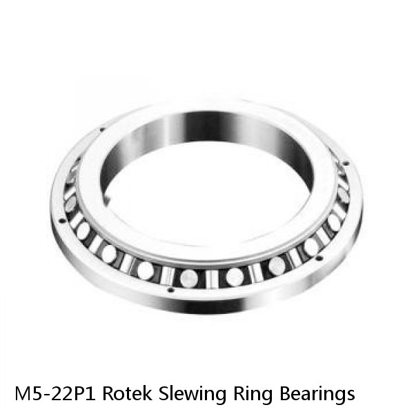 M5-22P1 Rotek Slewing Ring Bearings