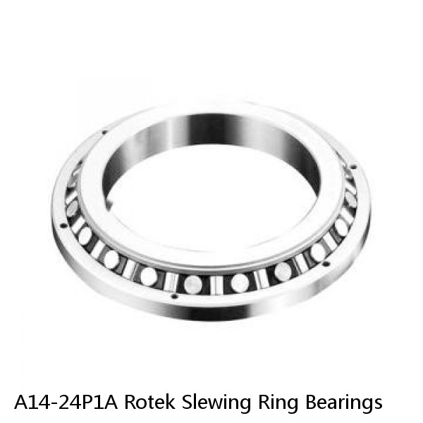 A14-24P1A Rotek Slewing Ring Bearings