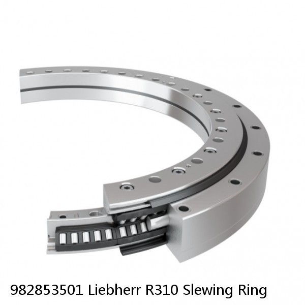 982853501 Liebherr R310 Slewing Ring