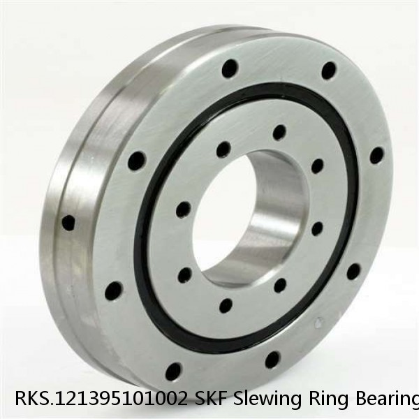 RKS.121395101002 SKF Slewing Ring Bearings