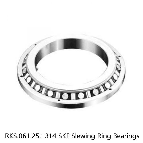 RKS.061.25.1314 SKF Slewing Ring Bearings