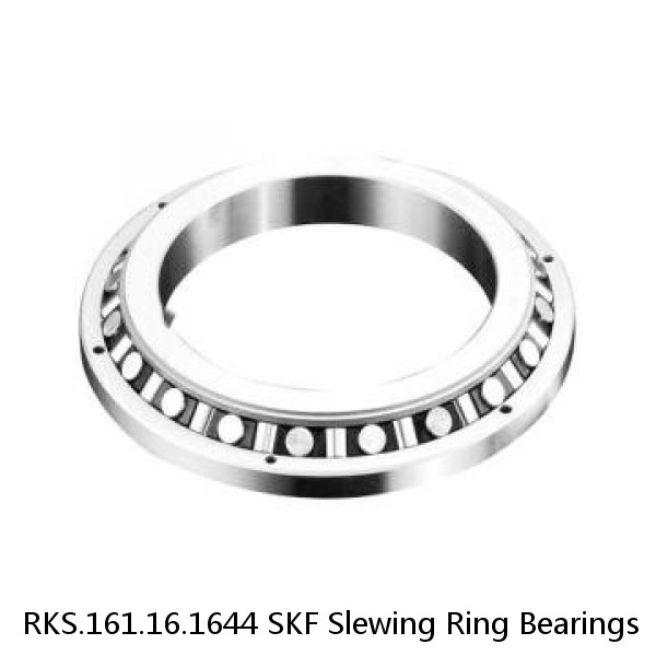 RKS.161.16.1644 SKF Slewing Ring Bearings