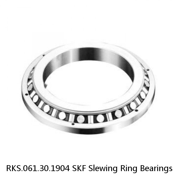 RKS.061.30.1904 SKF Slewing Ring Bearings