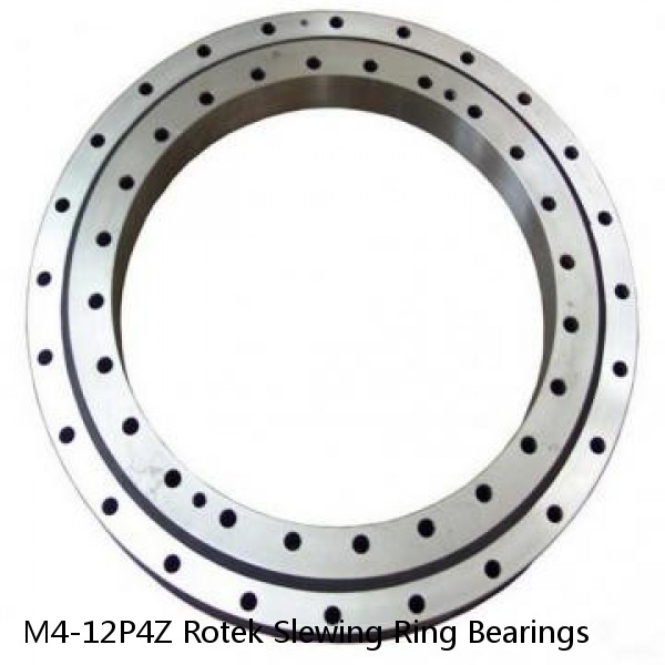 M4-12P4Z Rotek Slewing Ring Bearings