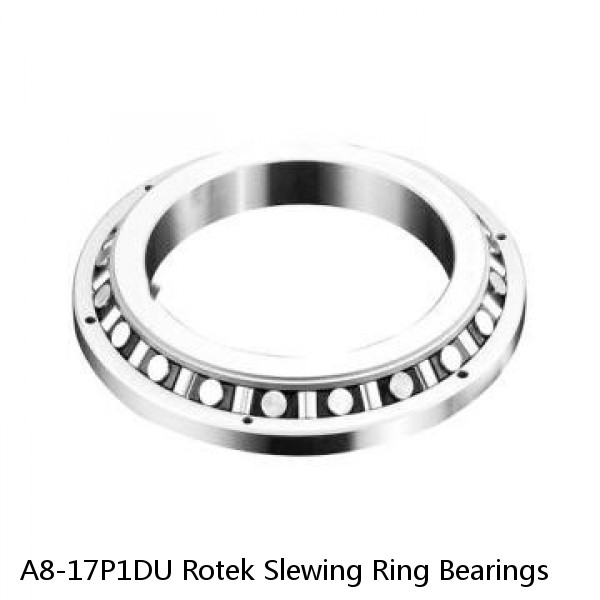 A8-17P1DU Rotek Slewing Ring Bearings