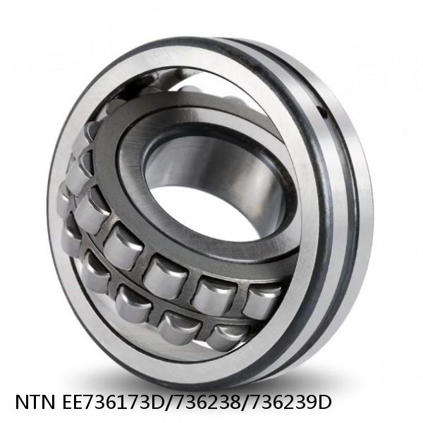 EE736173D/736238/736239D NTN Cylindrical Roller Bearing